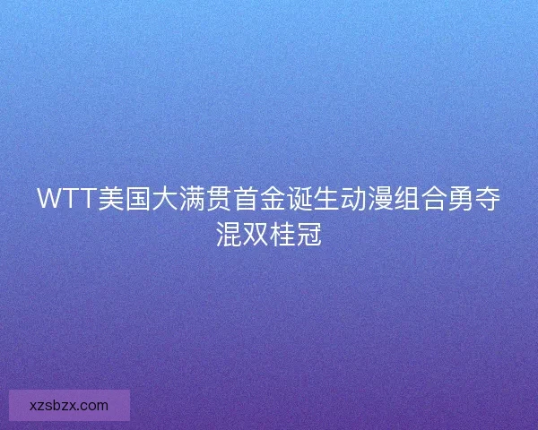 WTT美国大满贯首金诞生动漫组合勇夺混双桂冠