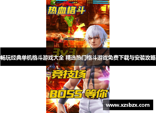 畅玩经典单机格斗游戏大全 精选热门格斗游戏免费下载与安装攻略